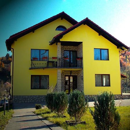 Casa Olteanu Pension Moieciu de Jos Luaran gambar