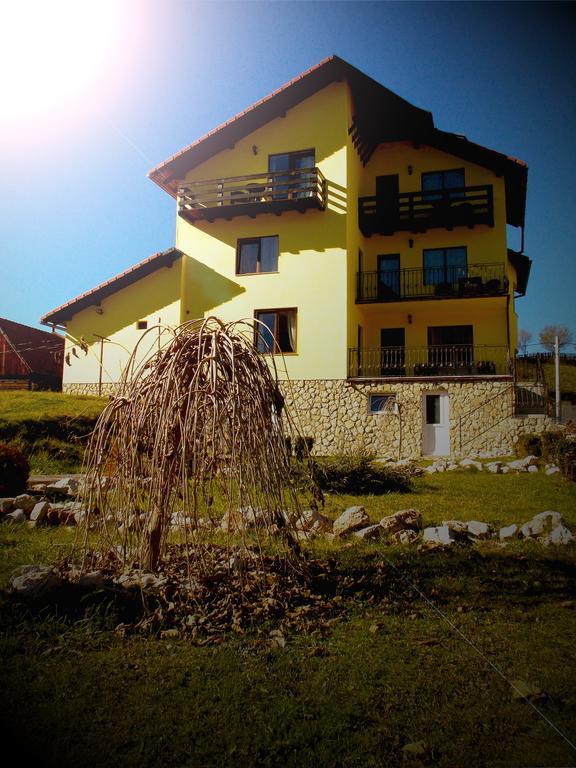 Casa Olteanu Pension Moieciu de Jos Luaran gambar