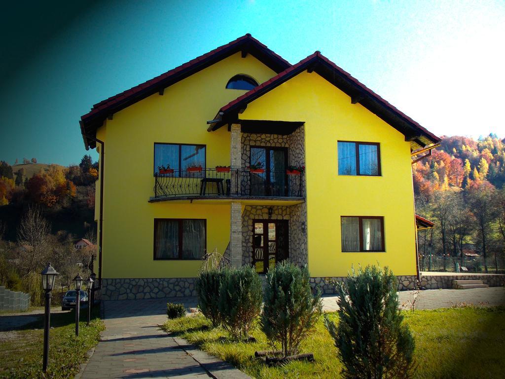 Casa Olteanu Pension Moieciu de Jos Luaran gambar