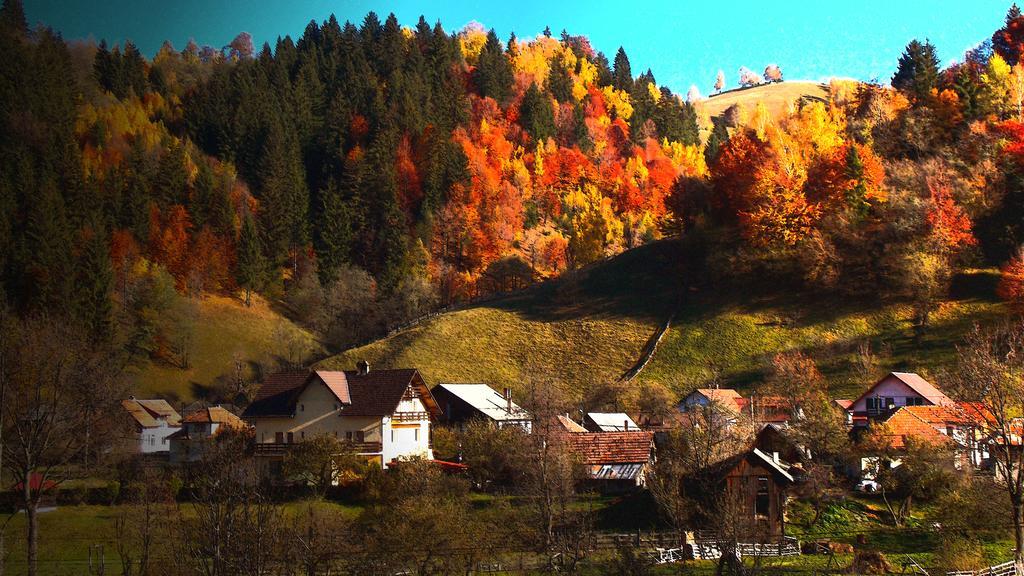 Casa Olteanu Pension Moieciu de Jos Luaran gambar